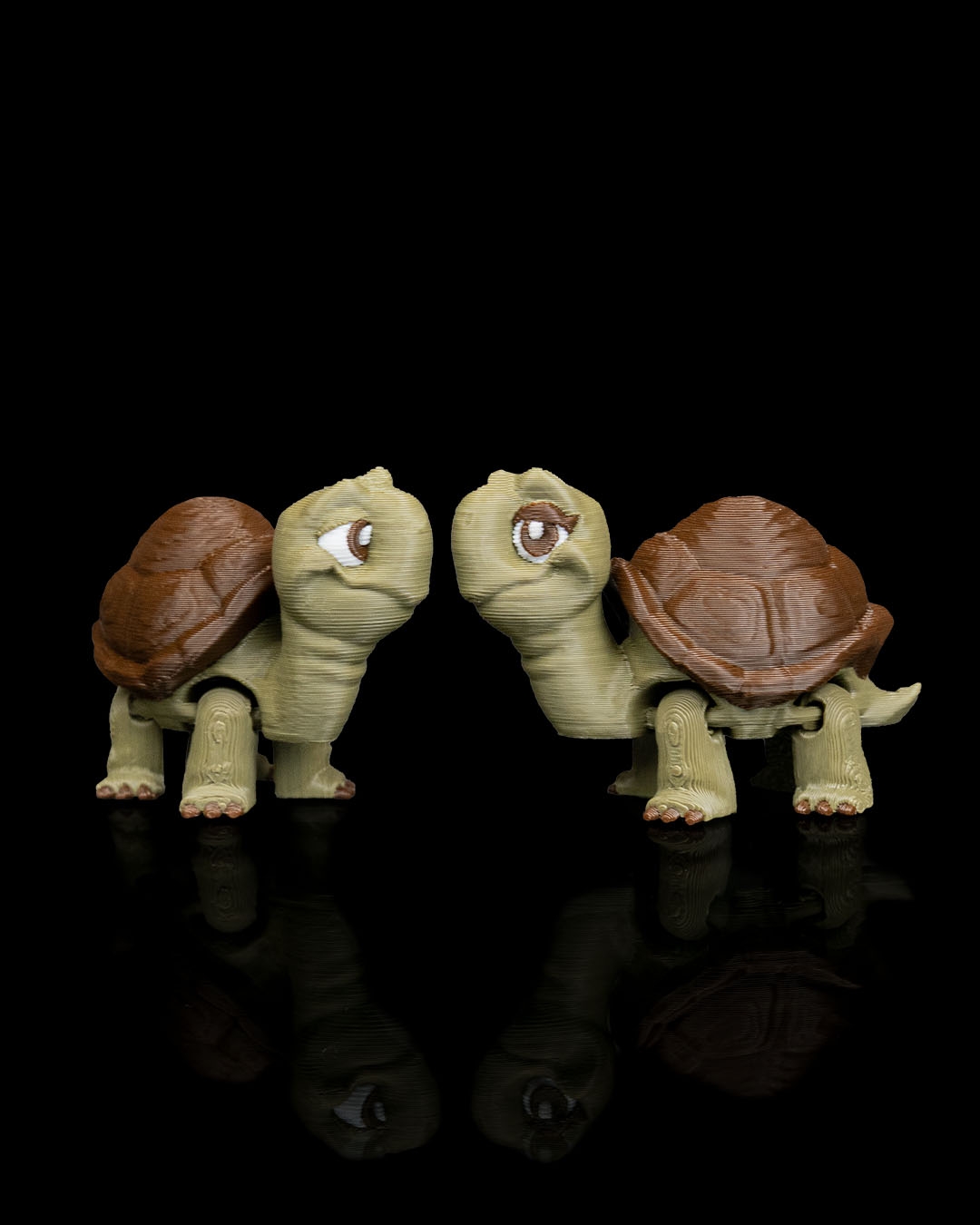 Pair of Tortoises - Image 3