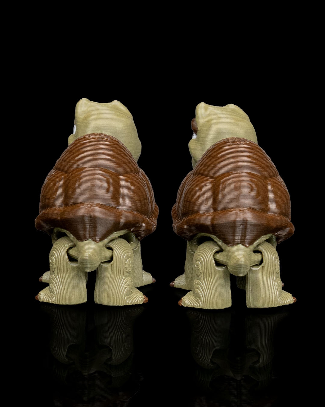 Pair of Tortoises - Image 4