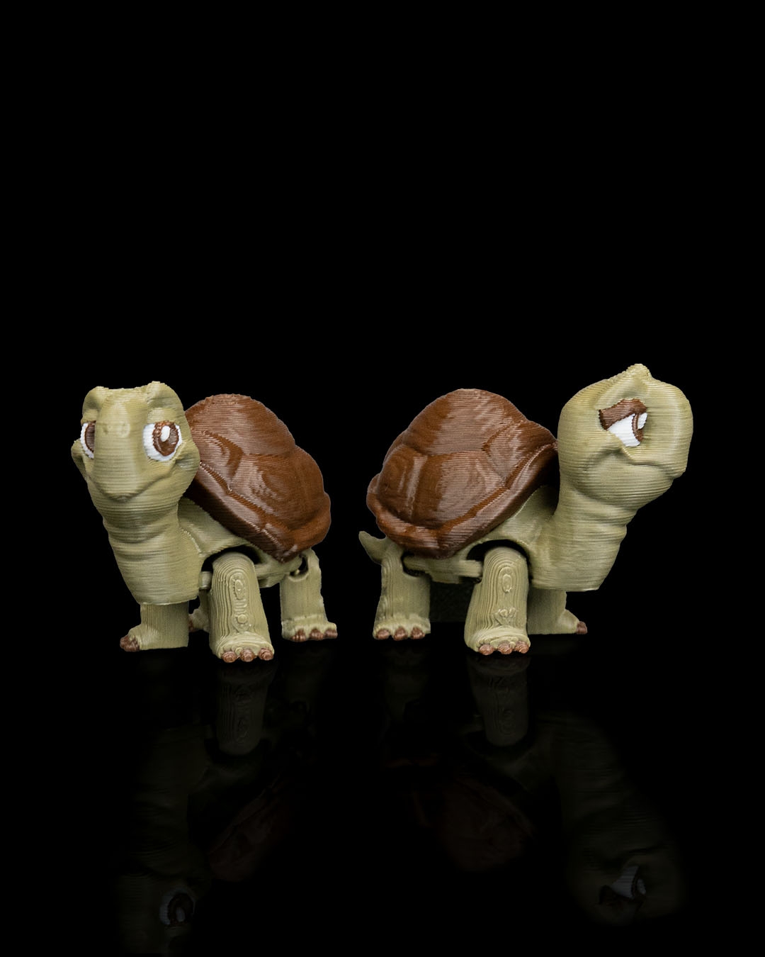 Pair of Tortoises - Image 5