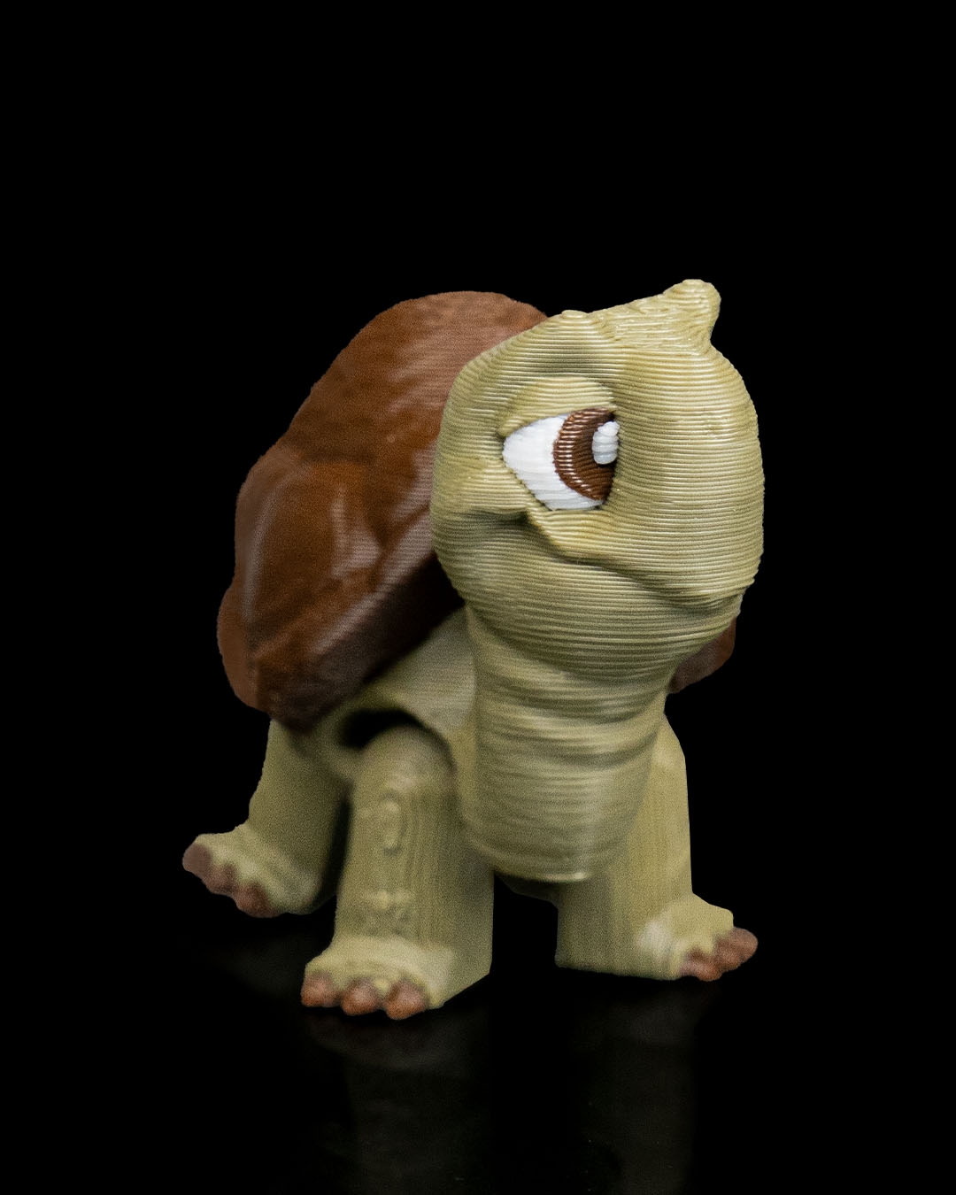 Pair of Tortoises - Image 6