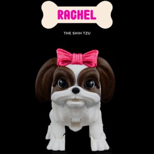 Rachel, the Shih Tzu