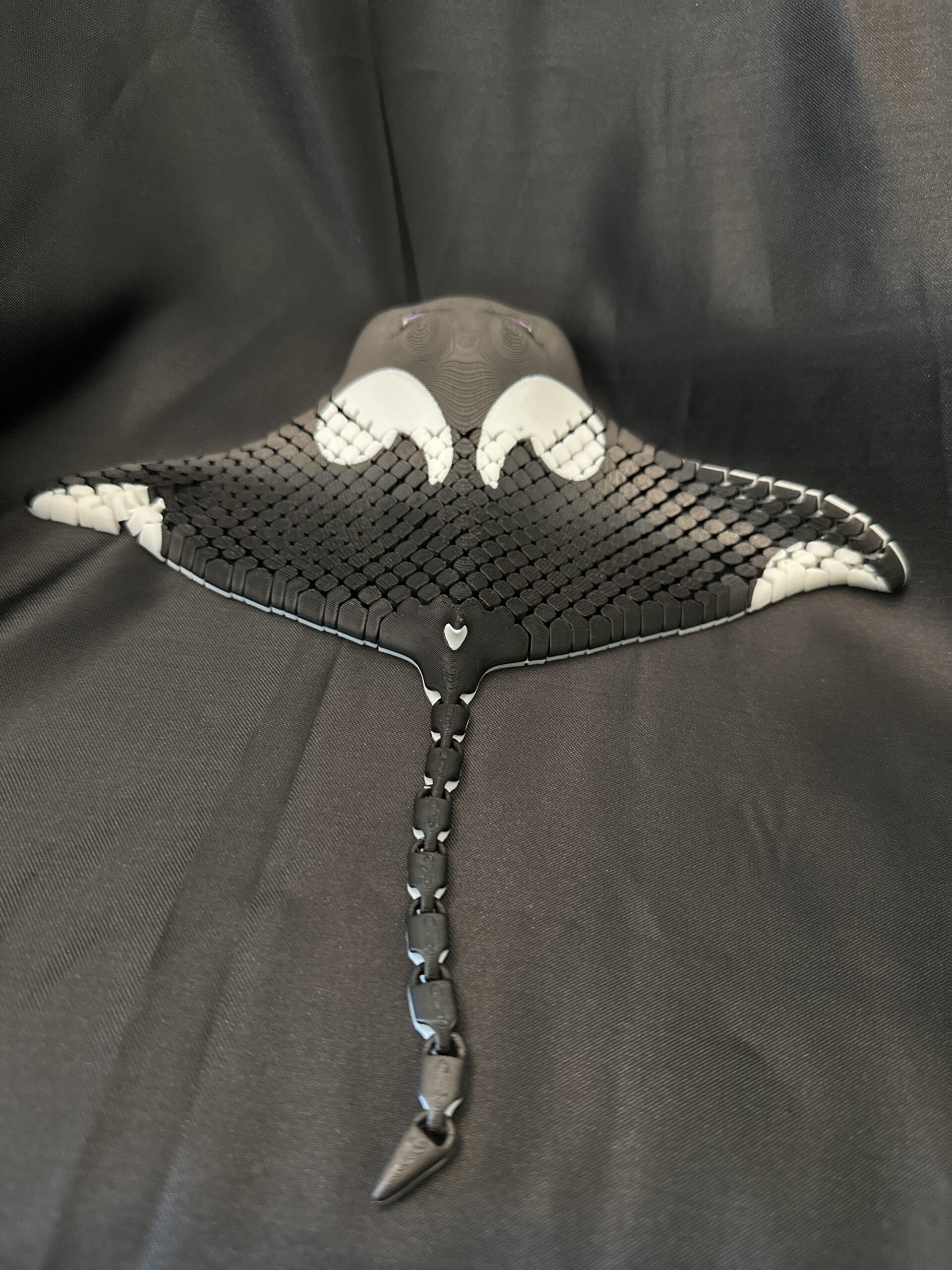 Manny, the Manta Ray - Image 4