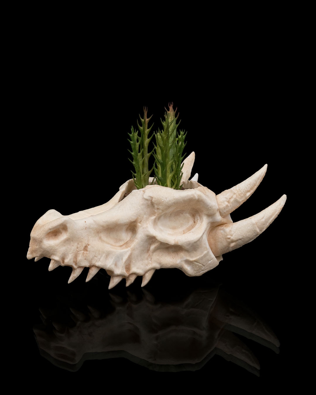 Deathroot - Planter - Image 3