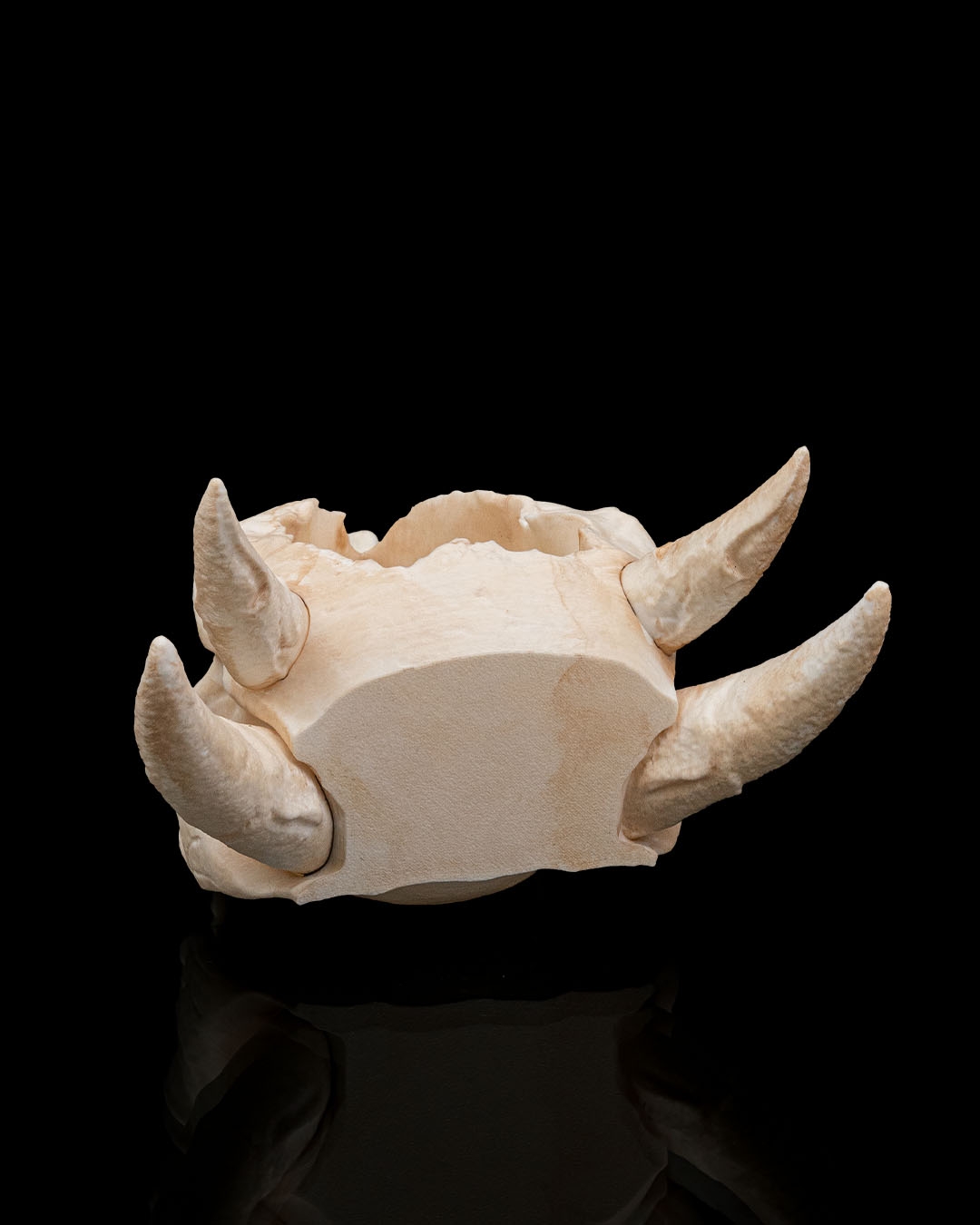 Deathroot - Planter - Image 7