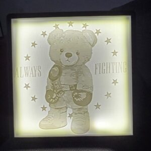Always Fighting Teddy Bear