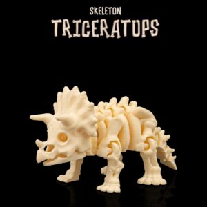 Skeleton Triceratops