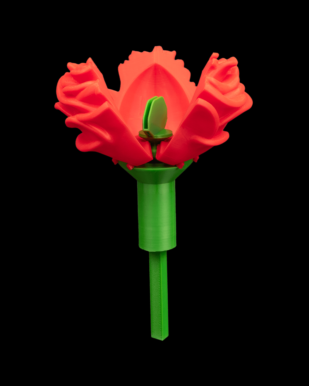 Porta Anel - Rosa - Image 6