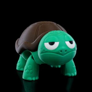 Turtles, 1 each surprised or not surprised - 2 pack