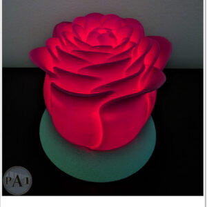 Illuminated Rose