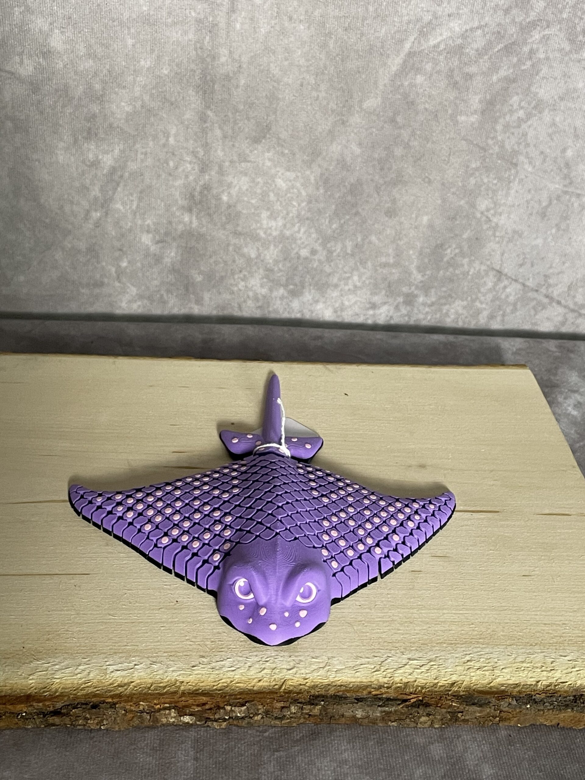 Igor, the Spotted Eagle Ray - Image 11