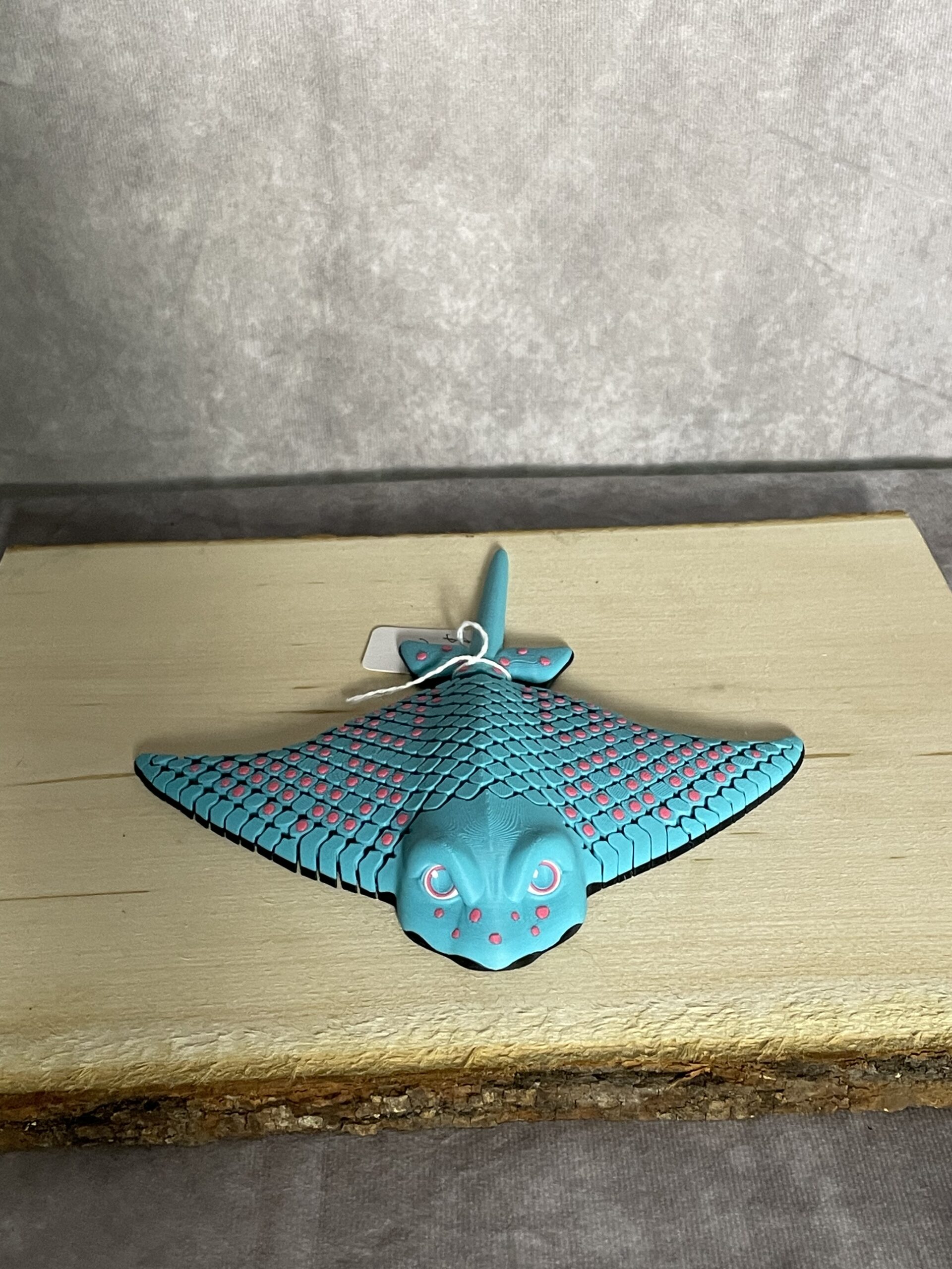 Igor, the Spotted Eagle Ray - Image 10